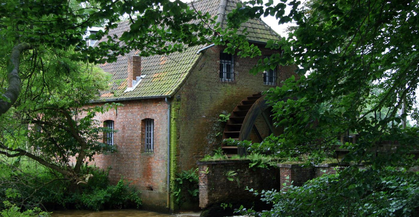 Landschapsdag: de bovenlopen van de Grote Nete