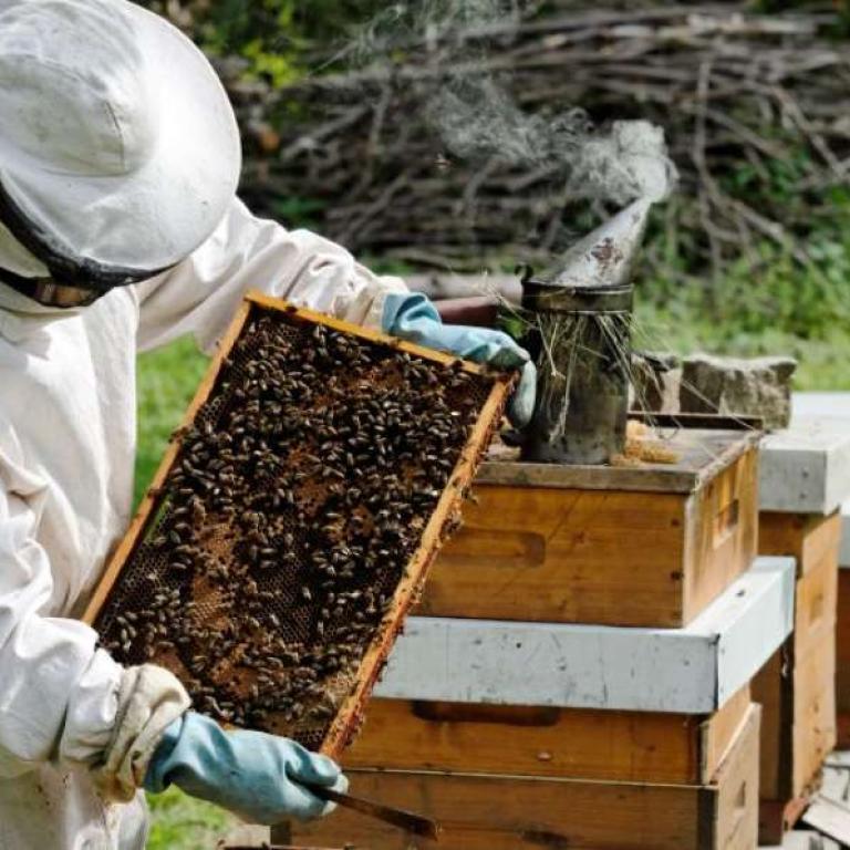 Imkers en wetenschap. Onderzoek bij Honeybee Valley